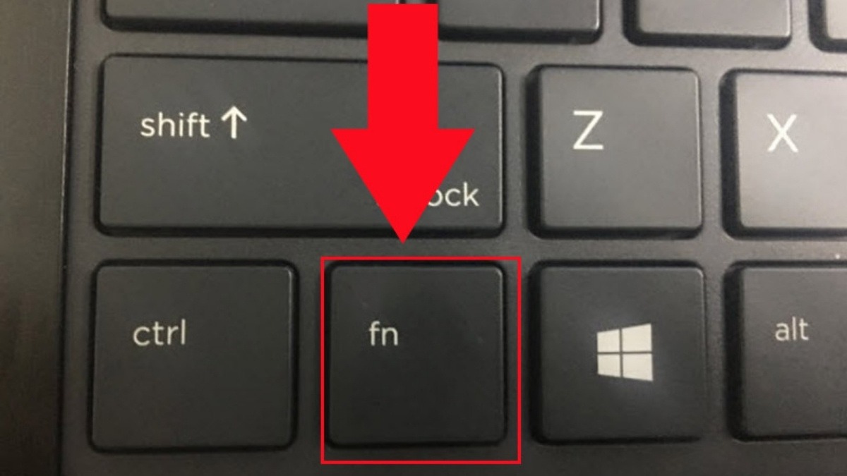 Hãy kiểm tra kỹ các phím F để tìm biểu tượng Numlock