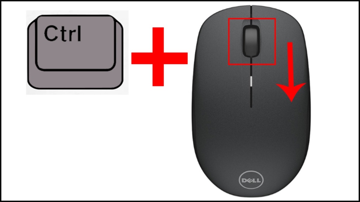 Giữ phím Ctrl, hãy lăn con lăn chuột xuống dưới