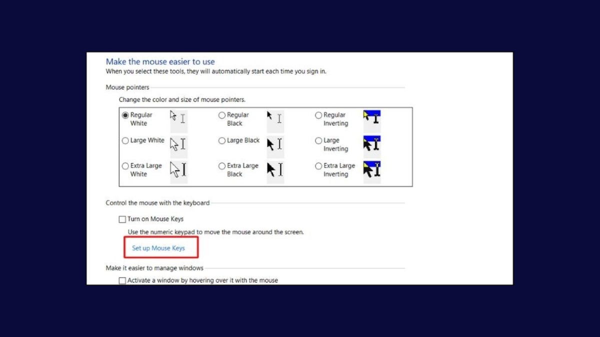 Chọn Set up Mouse Keys