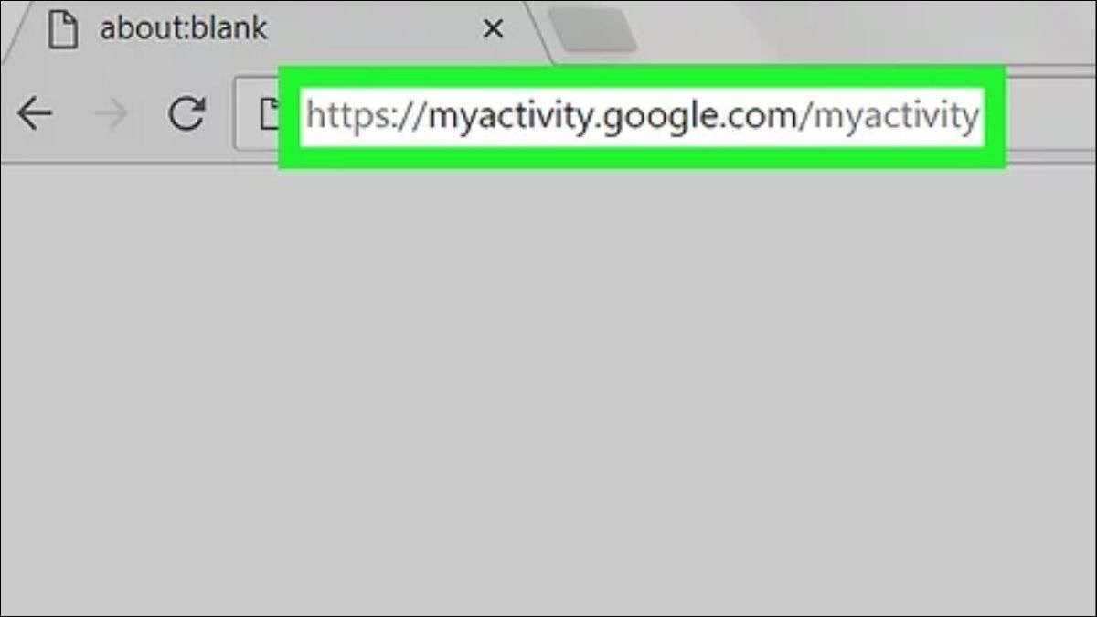 Truy cập trang web myactivity.google.com.