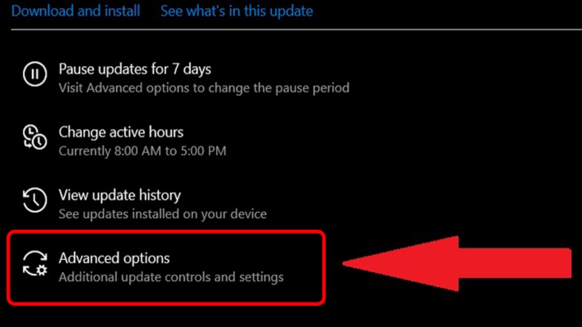 Trong mục Windows Update, chọn Advanced options