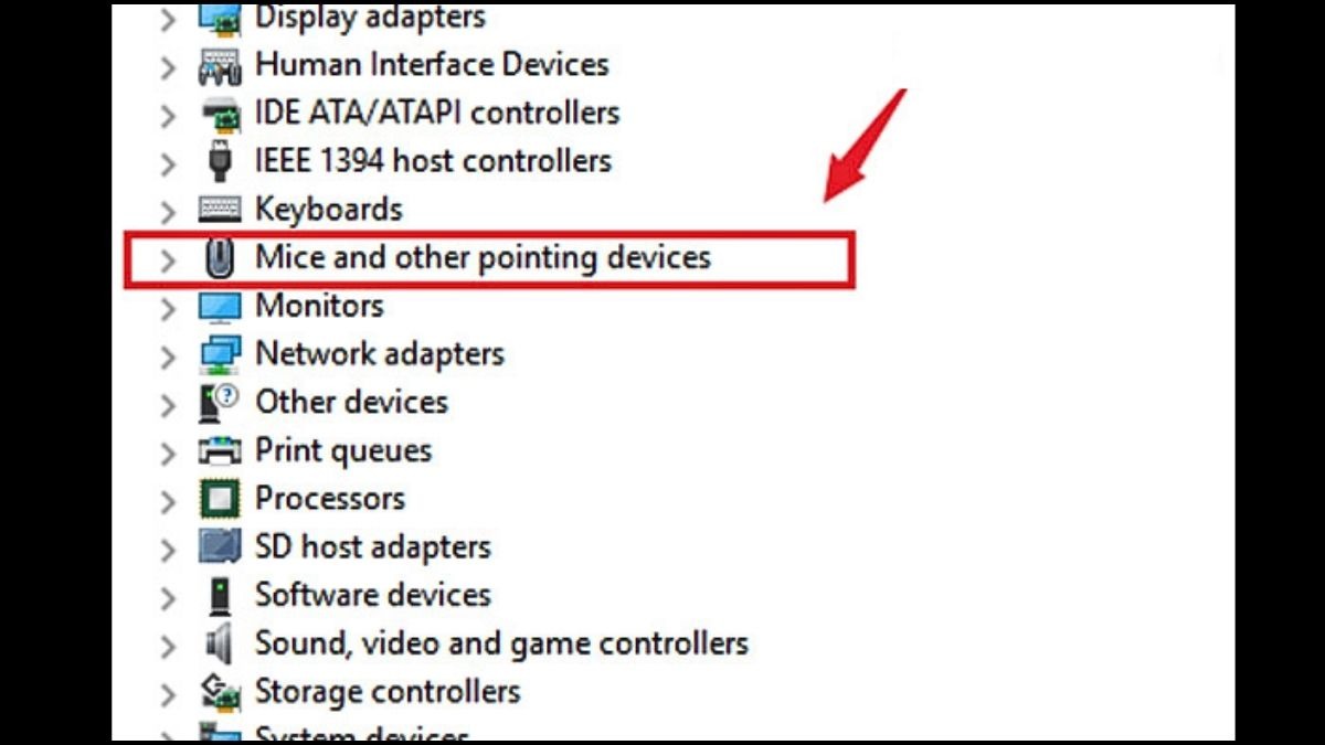 Nhấp chuột phải vào Mice and other pointing devices