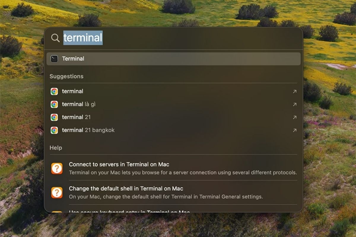 Tìm kiếm Terminal trong Spotlight