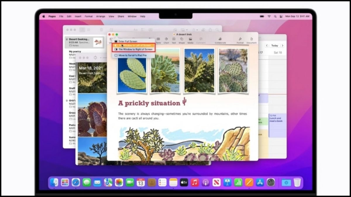 Chọn Tile Window to Left of Screen hoặc Tile Window to Right of Screen