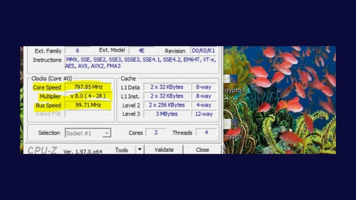 Tìm kiếm thông tin về CPU của bạn trên internet để xem tốc độ tối đa mà CPU có thể đạt được