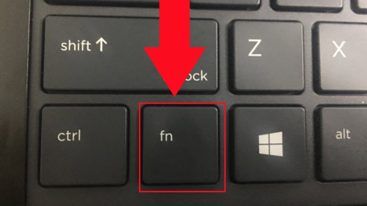 Phím Fn (viết tắt của Function) trên laptop là phím chức năng