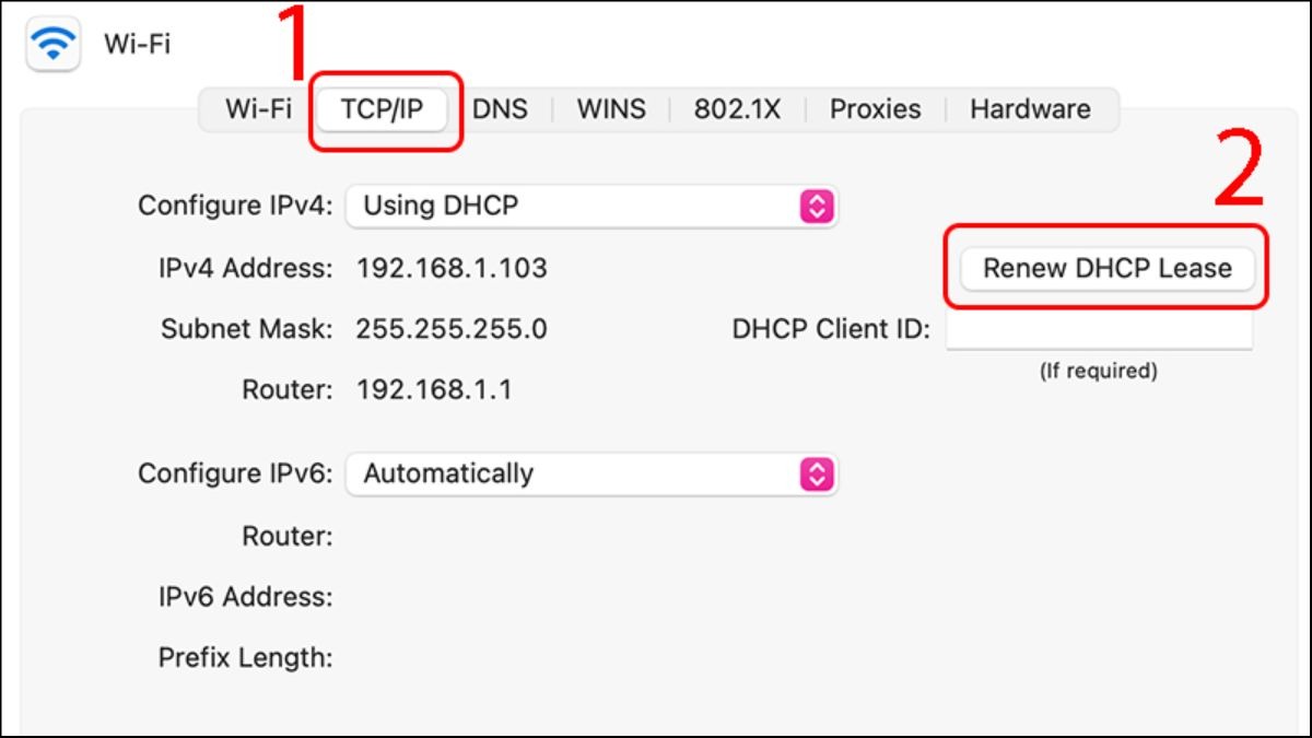 Nhấn Renew DHCP Lease trong tab TCP/IP