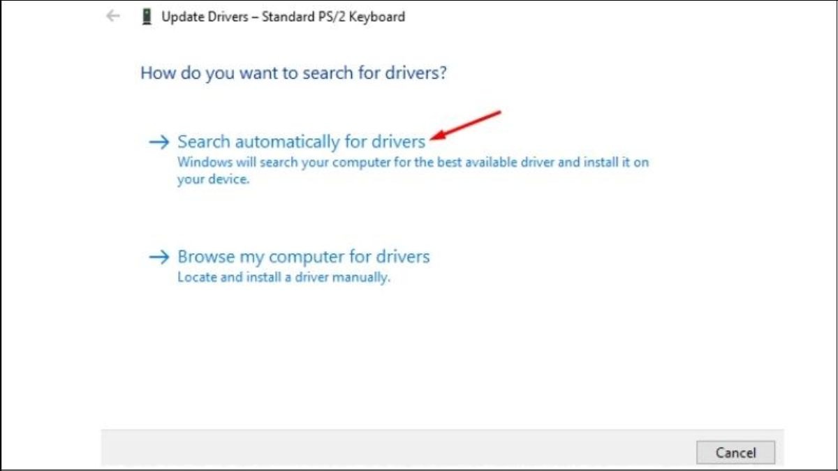 Chọn Search automatically for drivers