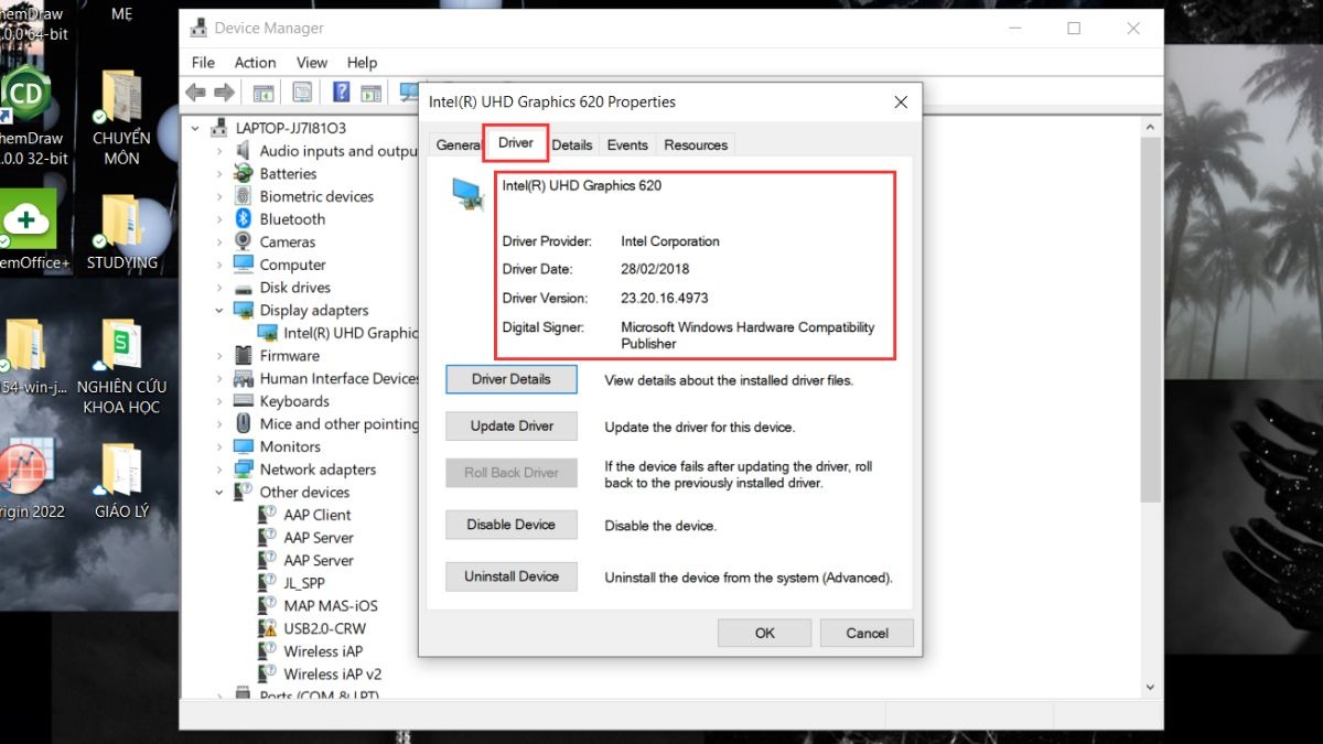 Chuyển sang tab Driver. Tại đây, bạn sẽ thấy thông tin chi tiết về driver card màn hình, bao gồm nhà cung cấp, ngày phát hành và phiên bản driver.