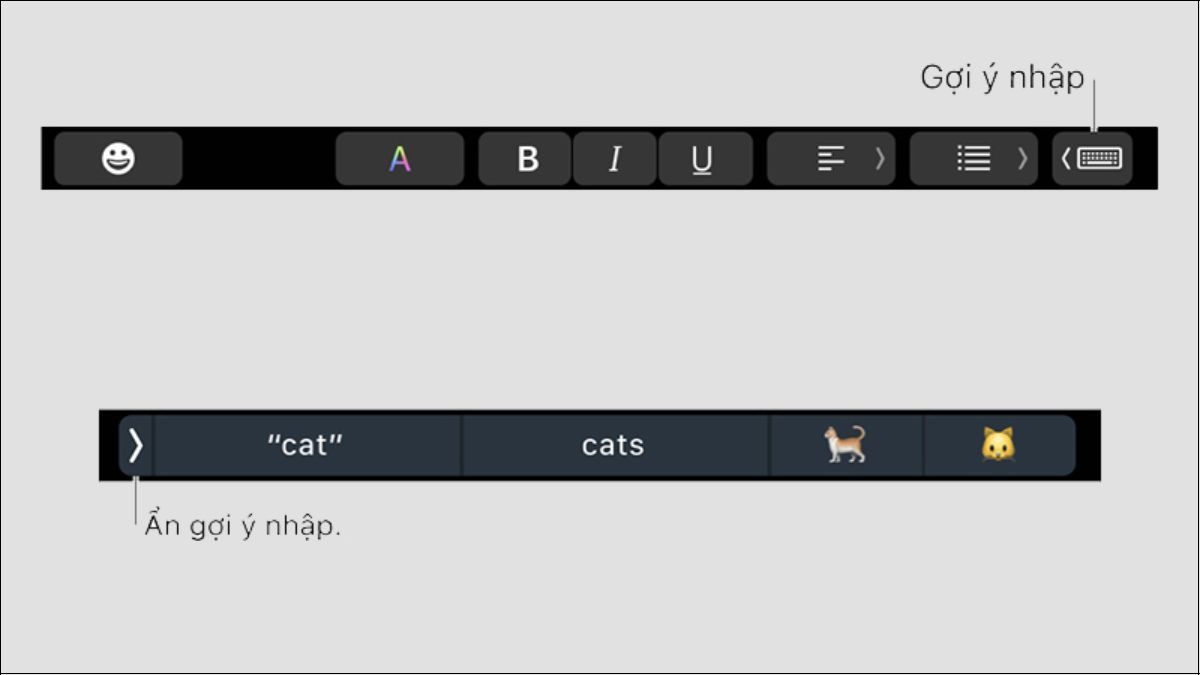 Touch Bar gợi ý nhập văn bản