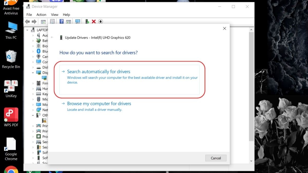 Chọn Search automatically for updated driver software (Tự động tìm kiếm phần mềm trình điều khiển đã cập nhật) để Windows tự tìm và cài driver mới nhất, hoặc truy cập trang chủ của nhà sản xuất card đồ họa (NVIDIA, AMD, Intel) để tải xuống và cài đặt driver thủ công.