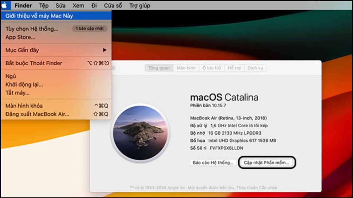 Nhấp vào Menu Apple => Chọn About This Mac (Giới thiệu về máy Mac này) => Chọn ô Software Update (Cập nhật phần mềm)