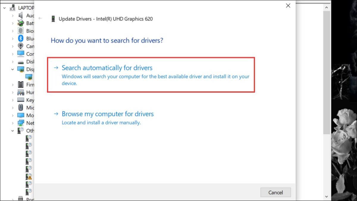 Chọn Search automatically for drivers.