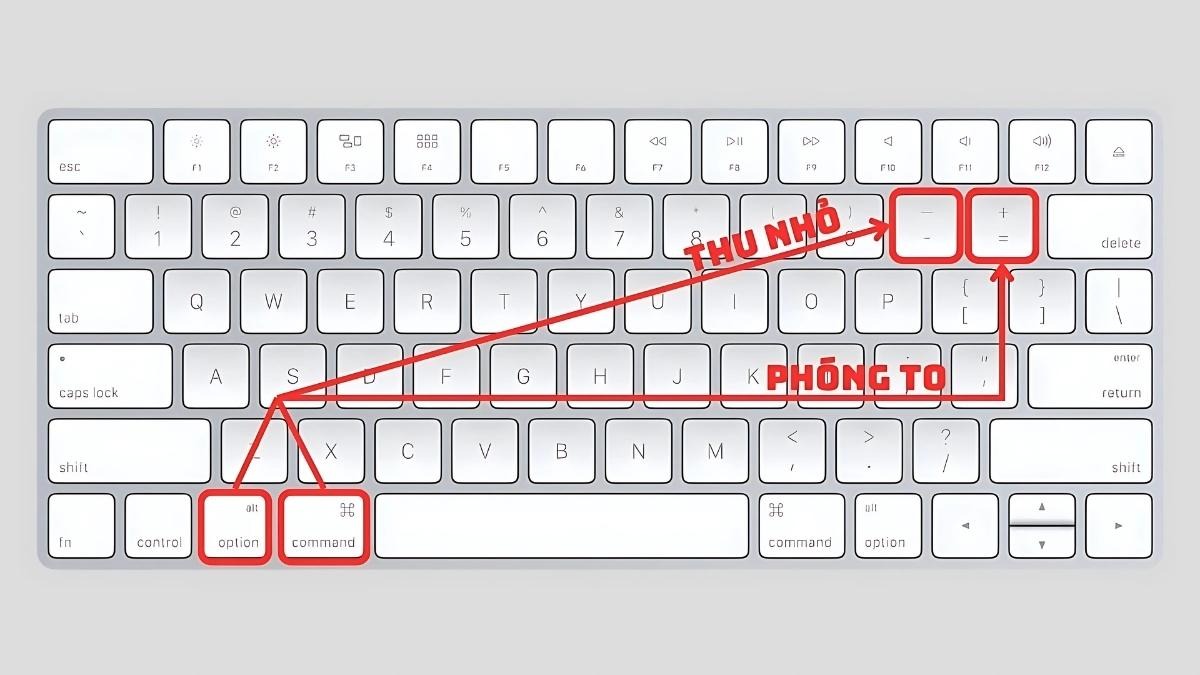 Option + Command + + để phóng to và - để thu nhỏ màn hình