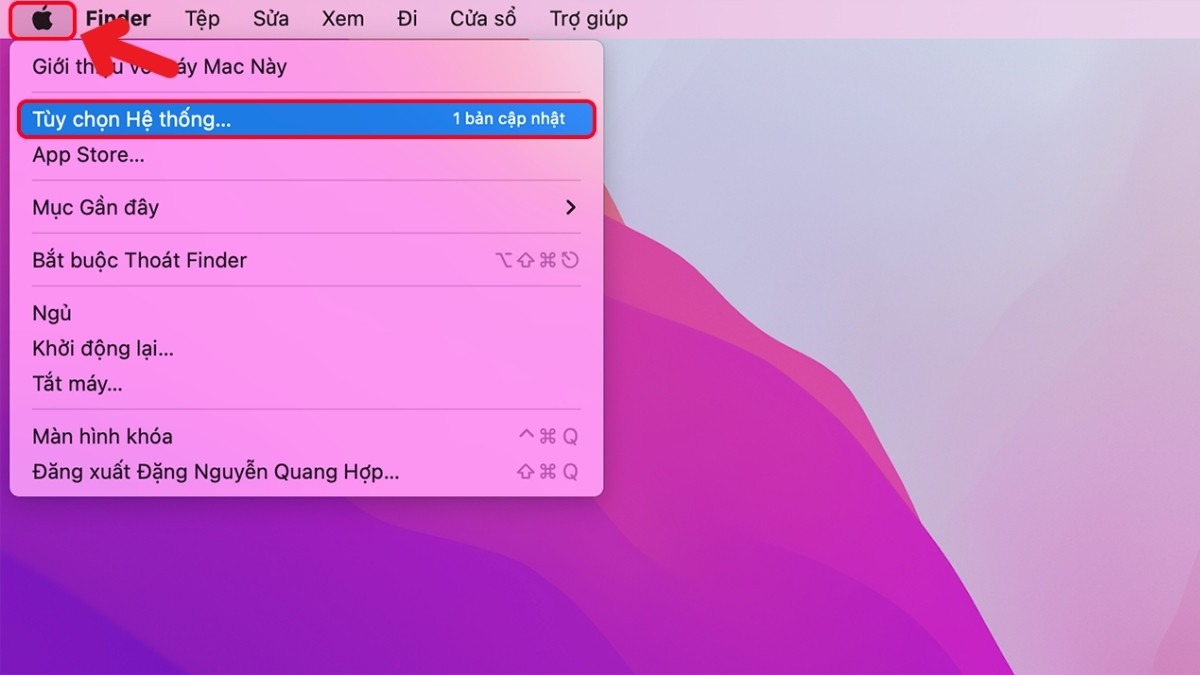 Click vào biểu tượng Apple trên thanh menu và chọn System Preference
