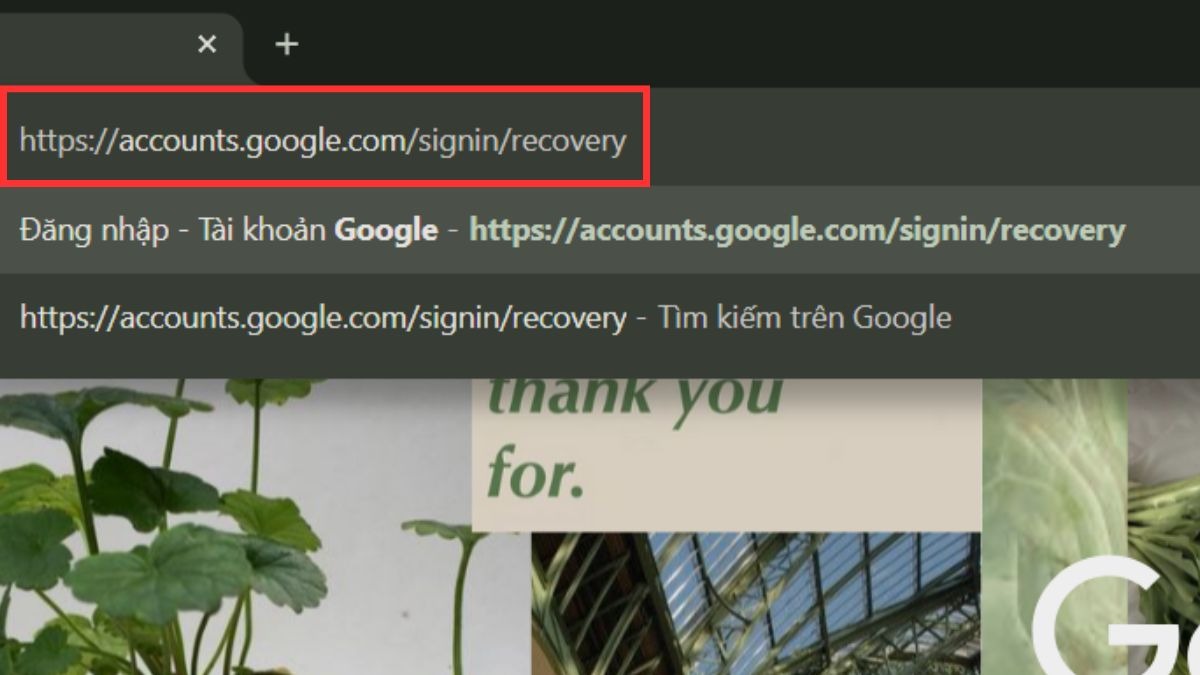 Truy cập trang khôi phục mật khẩu (password recovery).
