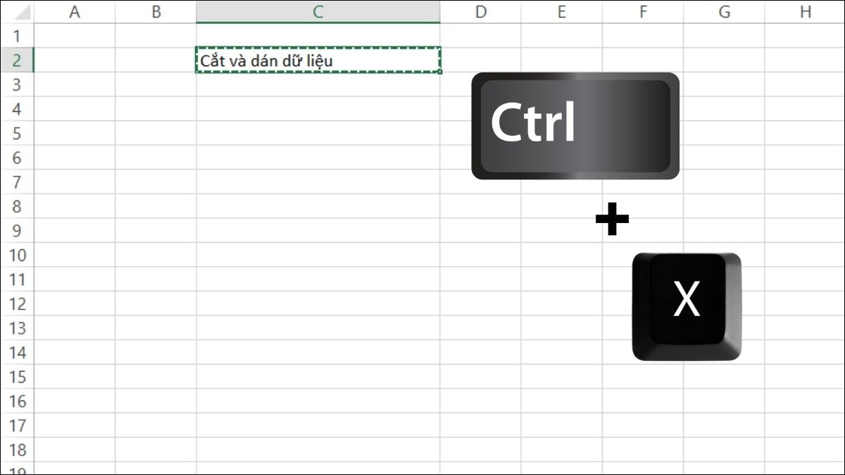 Chọn ô hoặc vùng cần cắt và nhấn Ctrl + X.