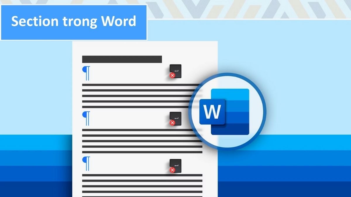 Section word là một phần của văn bản được tách biệt bởi Section Break.