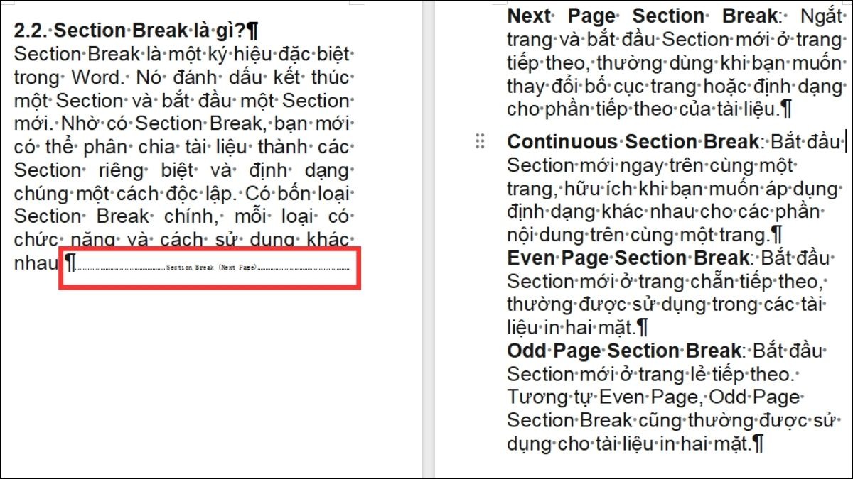Ngắt trang và bắt đầu Section mới ở trang tiếp theo.