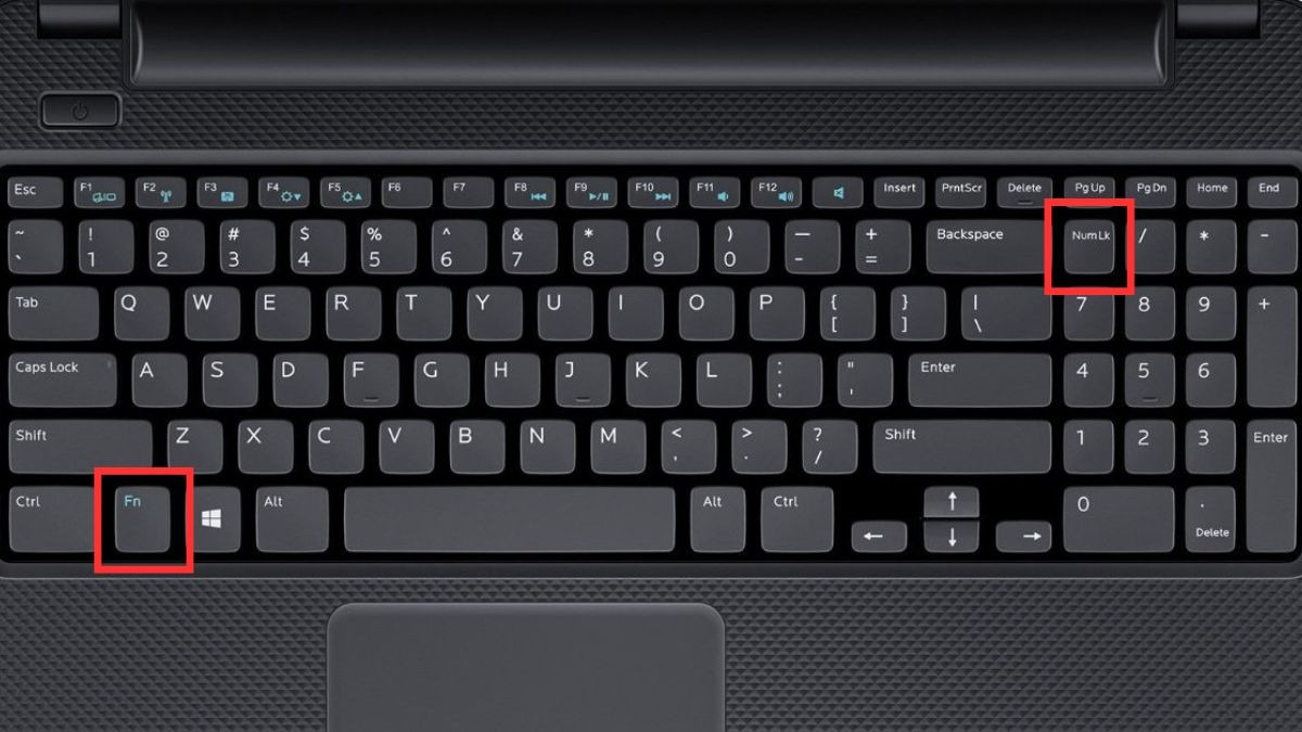 Nhấn giữ phím Fn + Numlk (một số dòng laptop có thể viết là Num Lock hoặc được tích hợp chung với phím F11, F12).