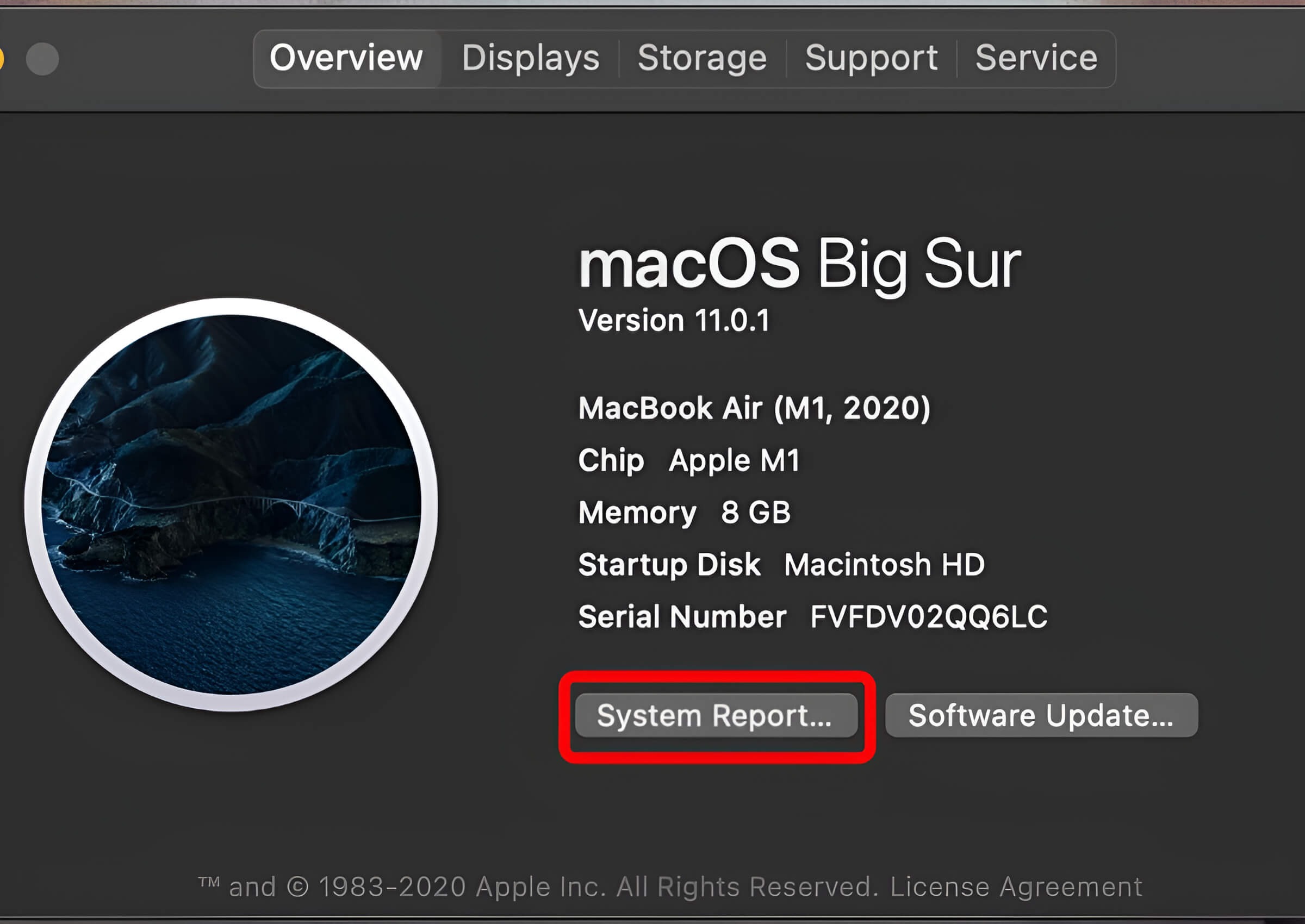 Vào phần System Report