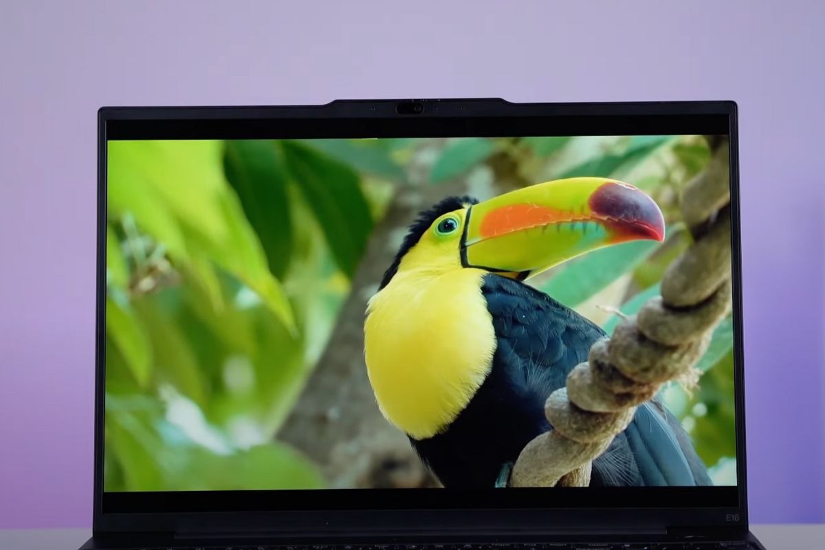 Màn hình 16 inch rộng rãi, hiển thị sắc nét và dễ nhìn