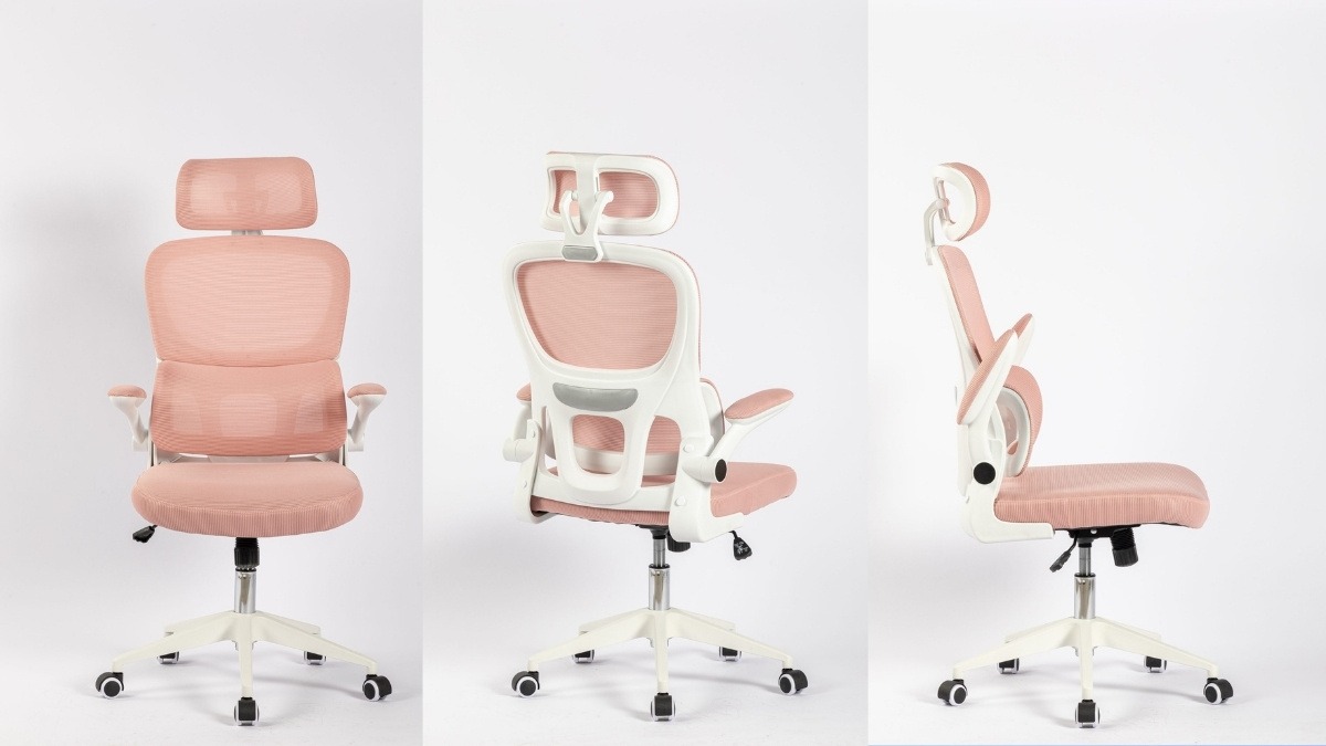 Ghế công thái học VITRA ERGO VISION X301