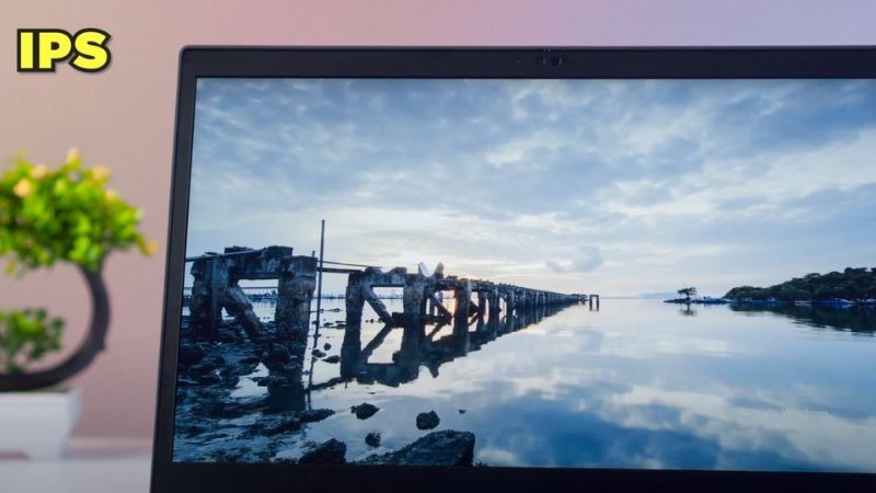 Màn hình Lenovo ThinkPad T14s Gen 2 (Intel) trang bị tấm nền IPS sống động