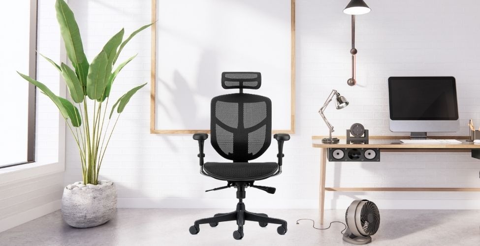 Thiết kế Ghế công thái học Ergohuman Enjoy Basic 2