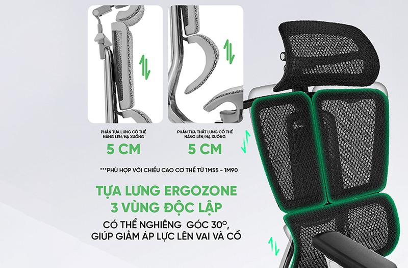Ghế Công Thái Học Upgen Nexus - Tựa lưng Ergozone 3 vùng, điều chỉnh theo dáng người