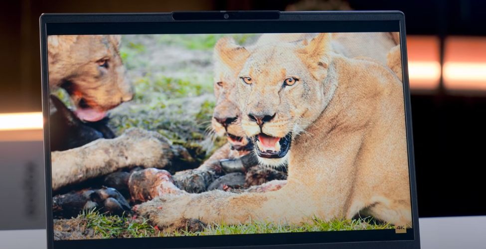 Màn hình Lenovo ThinkBook 14 G8 IAL 21SJ0070VN