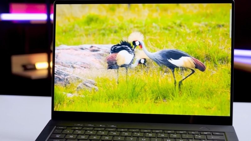 Âm thanh Asus ROG Zephyrus G14 GA403WM-QS051WS chân thực