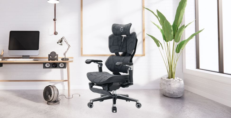 Chọn mua Ghế Công thái học Gami X5 Pro - Ergonomic Gaming