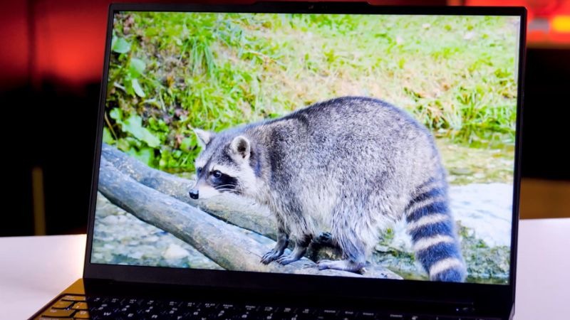 Ưu nhược điểm của Lenovo ThinkPad E16 Gen 3 21SR002HVA