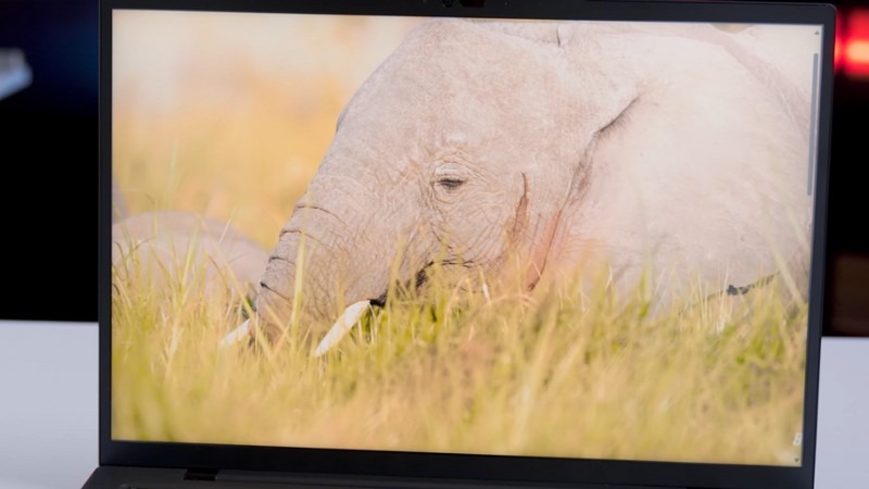 Màn hình Lenovo ThinkPad T14s Gen 6 hiển thị sắc nét