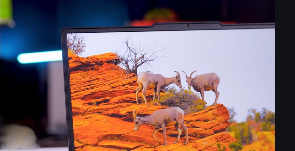 Màn hình Lenovo Legion 5 15IRX10 83LY00HRVN