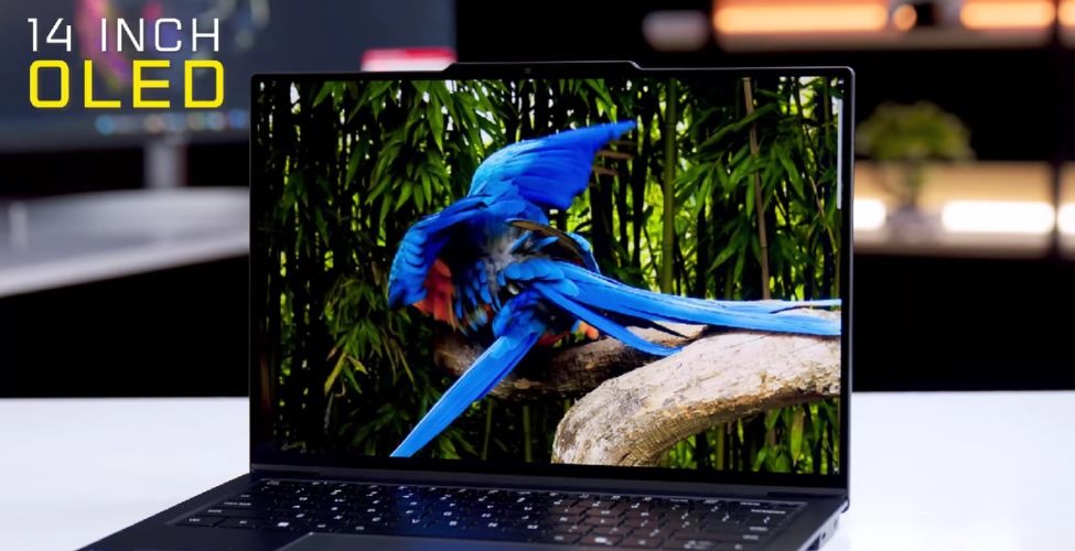 Màn hình Lenovo ThinkPad X9-14 Gen 1 21QA006LVN