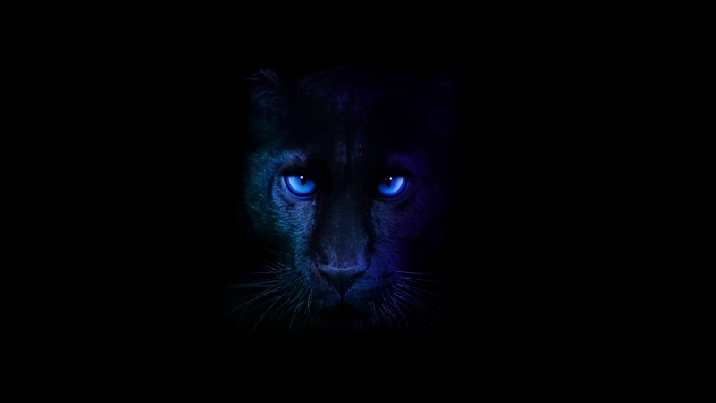 Đẩy nhanh AI tại Edge - Intel Core Ultra Series 3 ra mắt