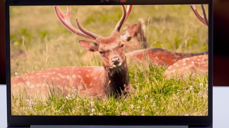 Màn hình Lenovo V14 G5 IRL 83HD0033VN 14 inch với độ phân giải Full HD