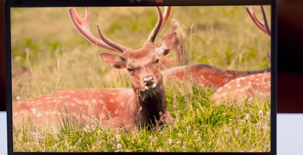 Màn hình Lenovo V14 G5 IRL 83HD0034VN