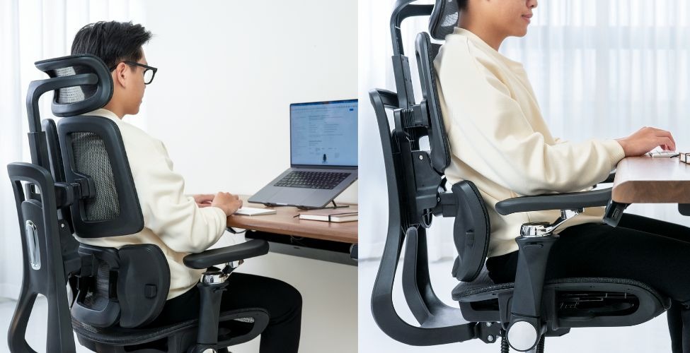 Hệ thống Ghế công thái học Flow