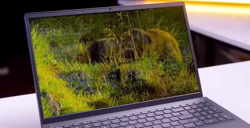 Đa nhiệm Dell 15 DC15250 2025