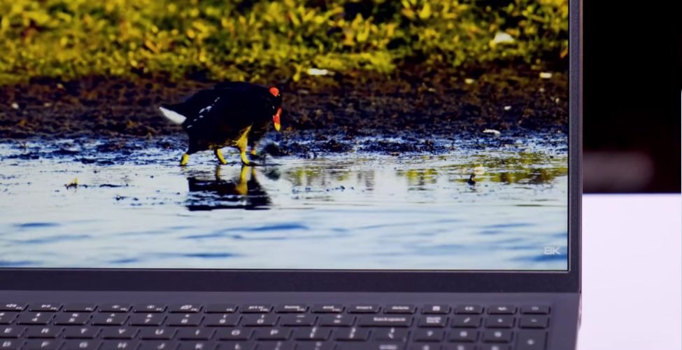 Pin Dell 15 DC15250 2025