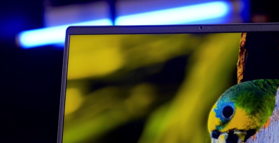 Âm thanh và Webcam Dell 15 DC15250 2025