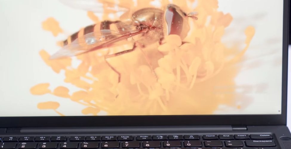 Pin Lenovo ThinkPad T14s Gen 6 21QX00LFVN