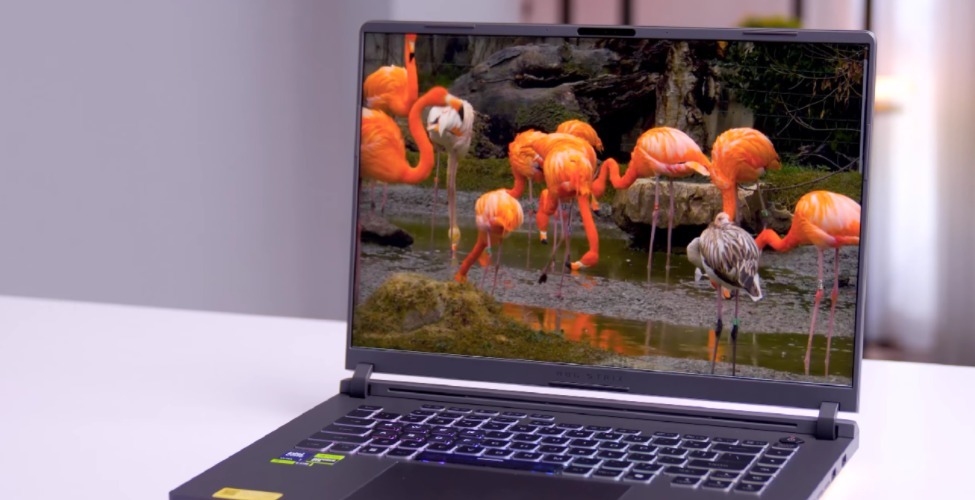 Màn hình laptop Asus ROG Strix