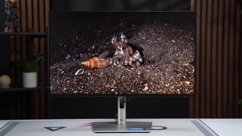 Dell P2725H là lựa chọn tối ưu cho nhân viên văn phòng, học sinh và sinh viên