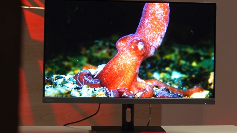 Lenovo ThinkVision S27i-30 có độ phủ màu 99% sRGB sống động kết hợp công nghệ giảm mỏi mắt