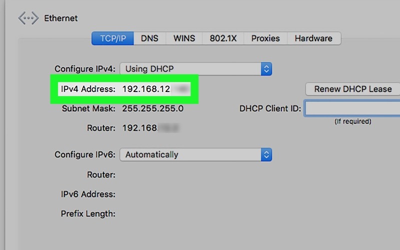 check IP laptop trên router