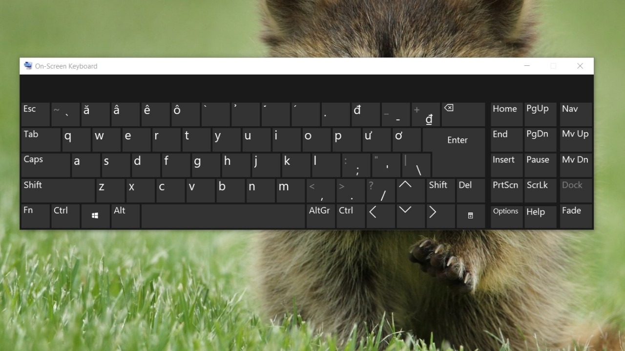 Bàn phím không gõ được ký tự @ # $ ^ & * ( ): Hãy nhấn Windows + Ctrl + O để mở bàn phím ảo, giữ Shift và chọn ký tự bạn cần nhập